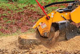 Best Hazardous Tree Removal  in Ferguson, MO